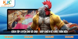 Cách Tập Luyện Cho Gà Chọi - Giúp Chiến Kê Khỏe Toàn Diện