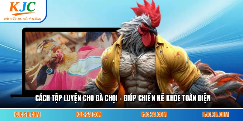 Cách Tập Luyện Cho Gà Chọi - Giúp Chiến Kê Khỏe Toàn Diện